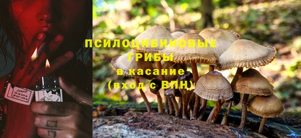 синтетический гашиш Новодвинск