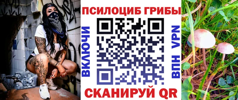 Псилоцибиновые грибы мицелий Купить закладки Иланский